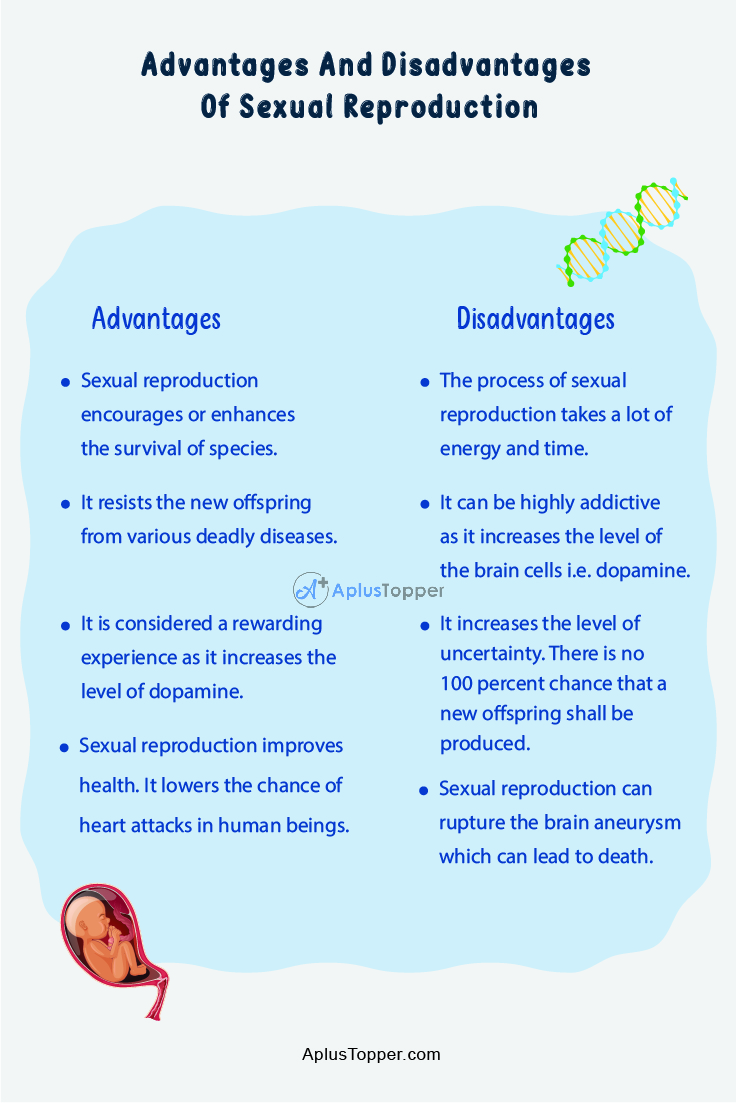 Advantages And Disadvantages Of Sexual Reproduction What Is Sexual