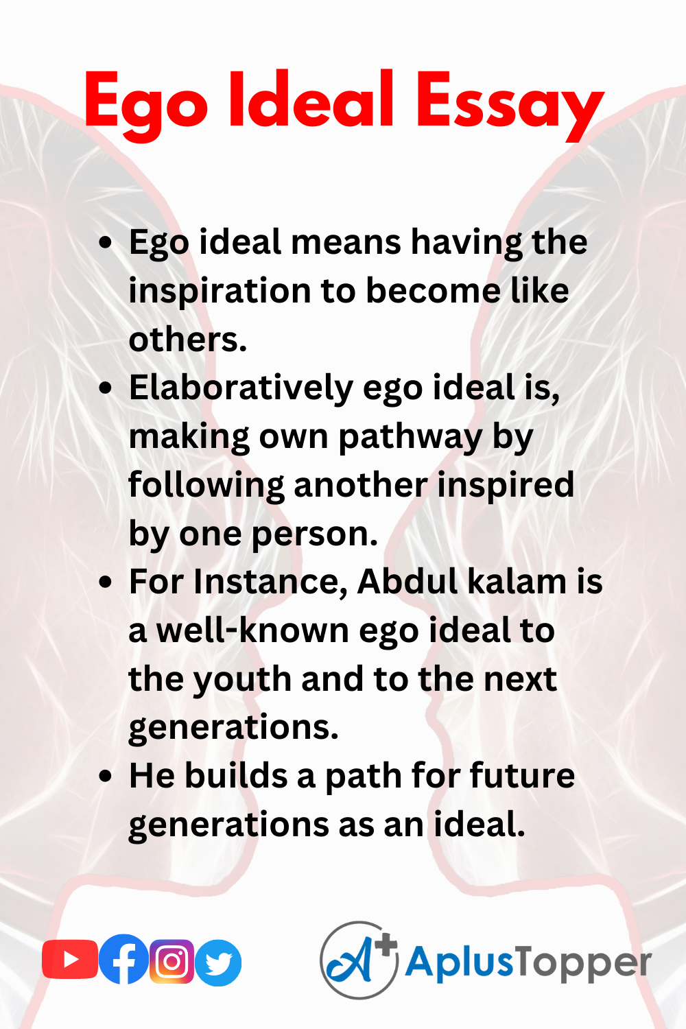 essay about ego identity
