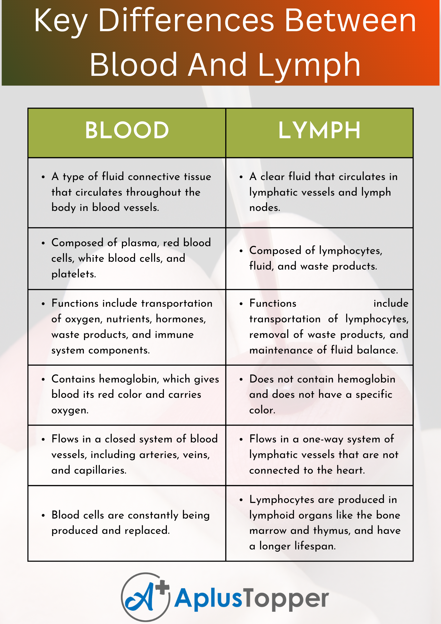 Difference Between Blood And Lymph Understanding The Key Differences