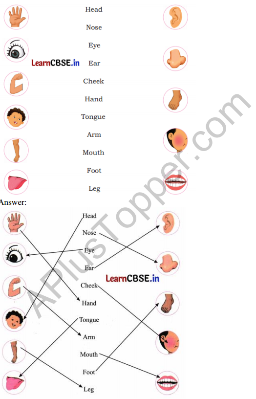 Mridang Class 1 English Solutions Chapter 1 Two Little Hands 2