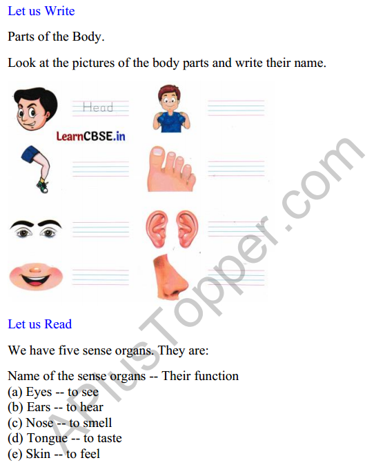Mridang Class 1 English Worksheet Chapter 1 Two Little Hands 2