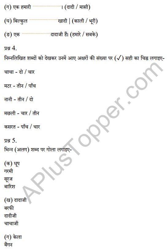 Sarangi Class 1 Hindi Worksheet Chapter 2 दादा-दादी 2