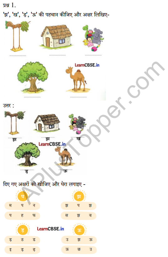 Sarangi Hindi Book Class 1 Solutions Chapter 12 फूली रोटी 5